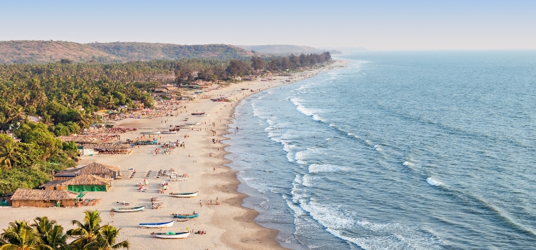 GOA