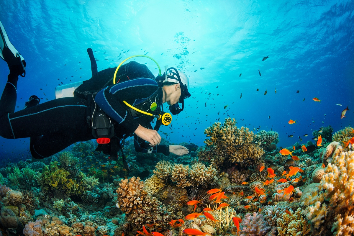 Scuba Diving + Water Sports Day Trip