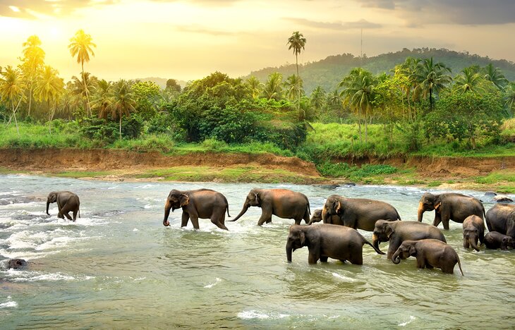 Sri Lanka