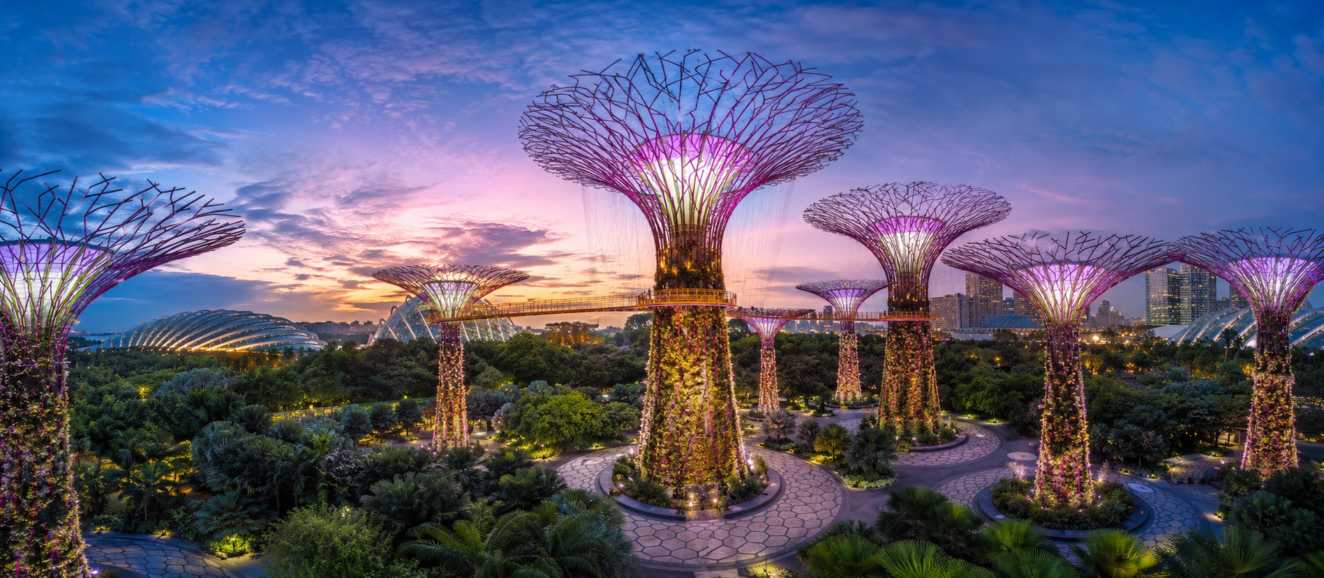 Singapore Singapore Entry Visa